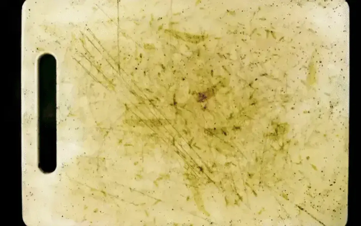 Stop Feeding Your Family Microscopic Plastic Flakes
